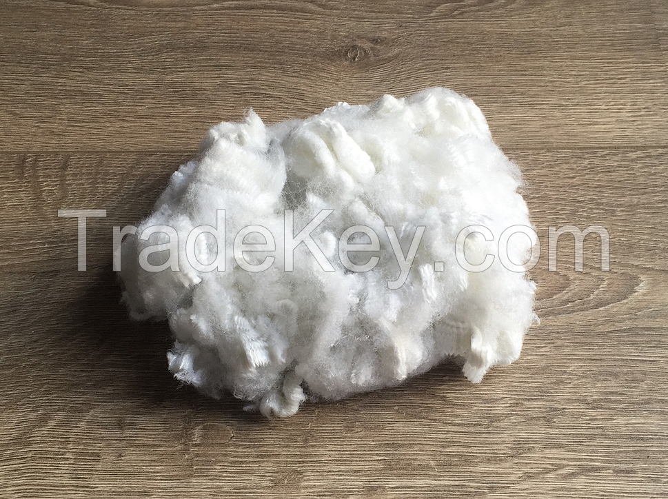 Polyester Staple Fiber