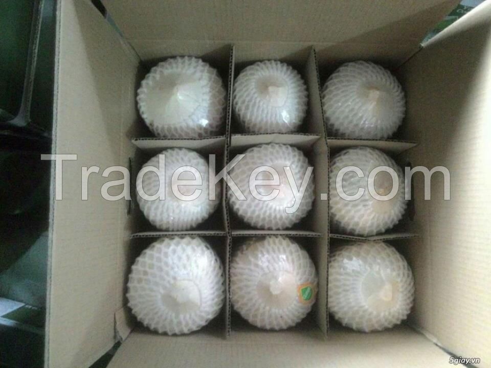 Fresh Coconut Diamond Shape/ Fresh Coconut Vietnam supplier Sophia +84987364651