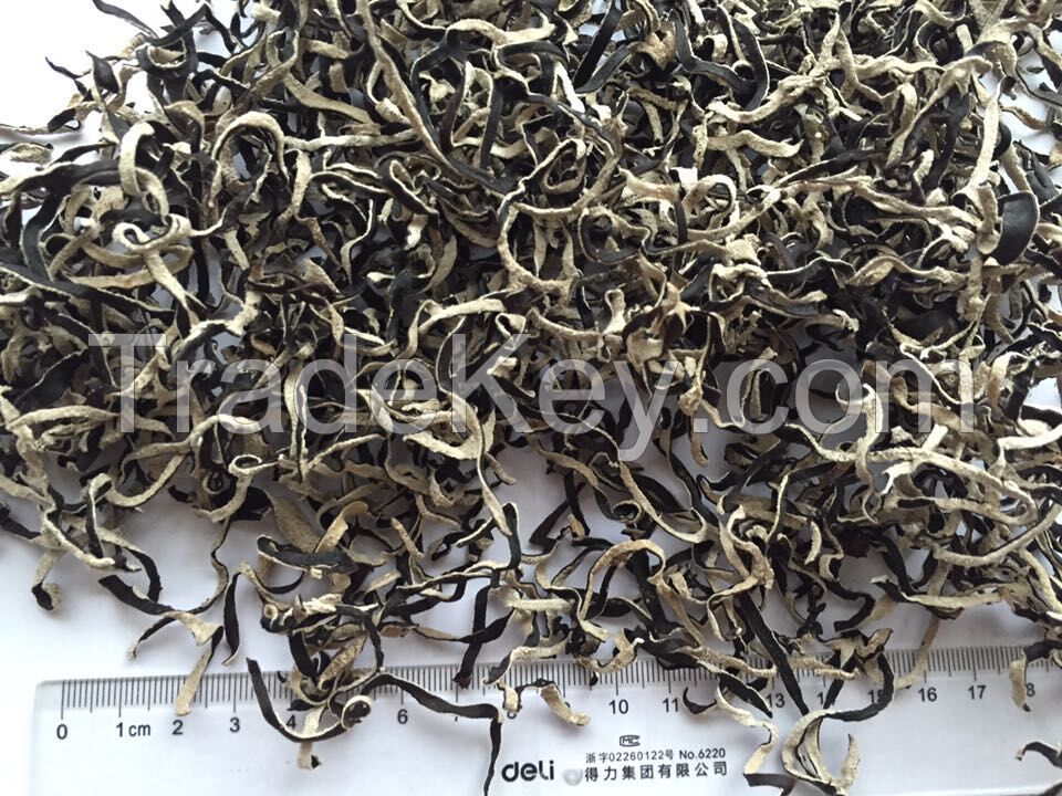 Dry organic black fungus origin Vietnam/Ms.Hanna