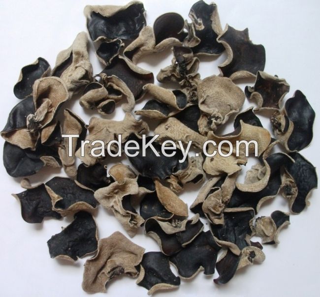 Dry organic black fungus origin Vietnam/Ms.Hanna