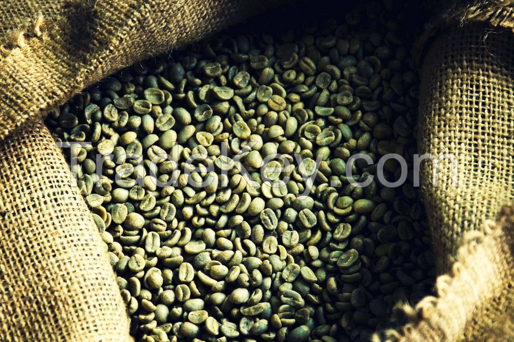 Bulk organic green coffee bean for beauty/Ms.Hanna 