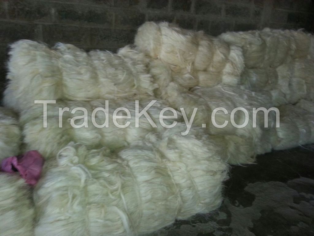 100% Natural Sisal Fiber of Kenyan Origin with Free Samples