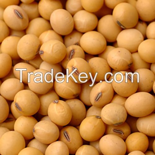 Soybeans