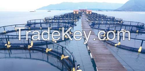 the big size round aquaculture fish cage deep sea