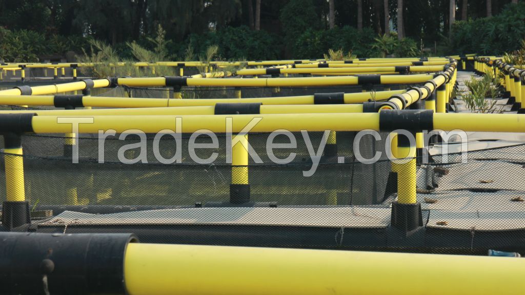 the jumbo size square fish farming cage