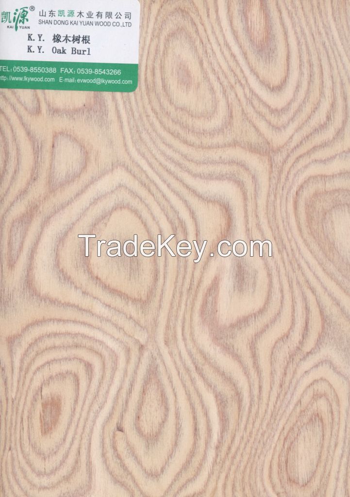 Engineered Burl Veneer