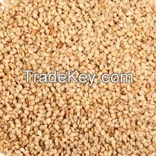 Sesame Seeds