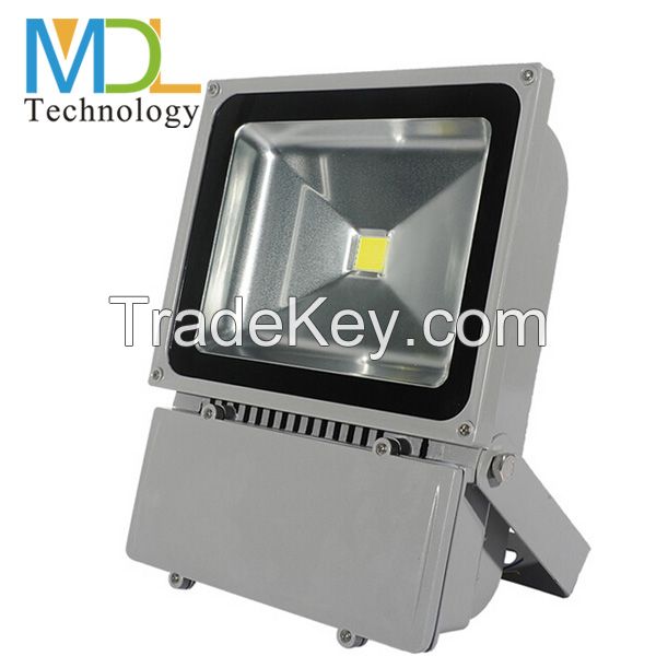 LED Flood Light