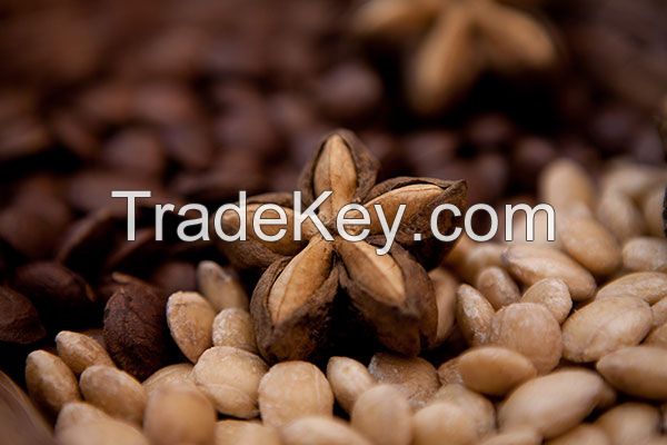 Sacha Inchi Seeds