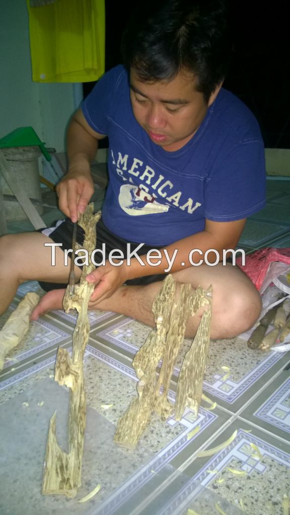 Agarwood and Oil,crafts,wood,Humotra agarwood