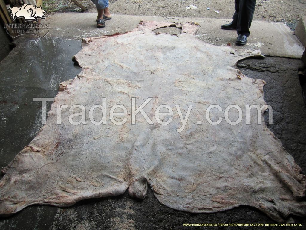 wet salted cow hides