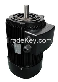 Special Motors For STAINLESS Pump