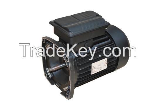 Special Motors For POOL Spa pumps