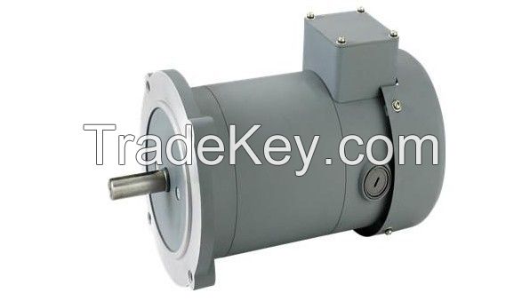 NEMA TEFC 180V PMDC Motor 24V