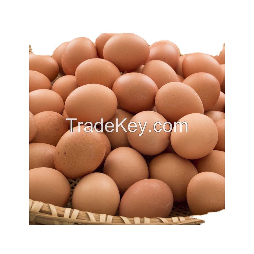 Brown Chicken Egg