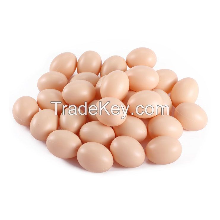 Wholesale Supplier Best Quality Fresh Brown Chicken Eggs for Sale in Cheap Price Brown Chicken Egg