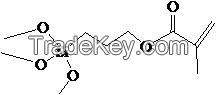 3-Methacryloxypropyltrimethoxysilane
