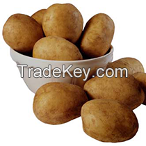 Fresh Holland Potato