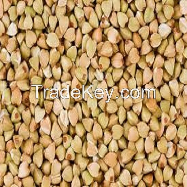 Organic Buckwheat Hulls Sweet Roasted Buckwheat Wholesale Raw Buckwheat Hulls