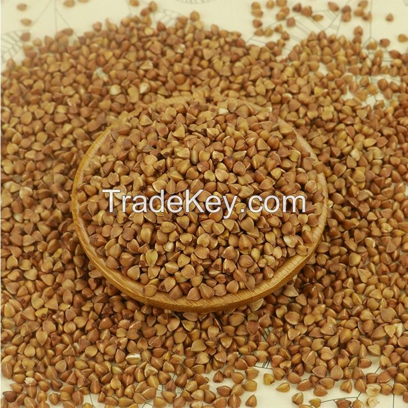 Organic Buckwheat Hulls Sweet Roasted Buckwheat Wholesale Raw Buckwheat Hulls