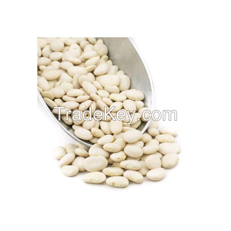 Quality White Butter Beans for sale