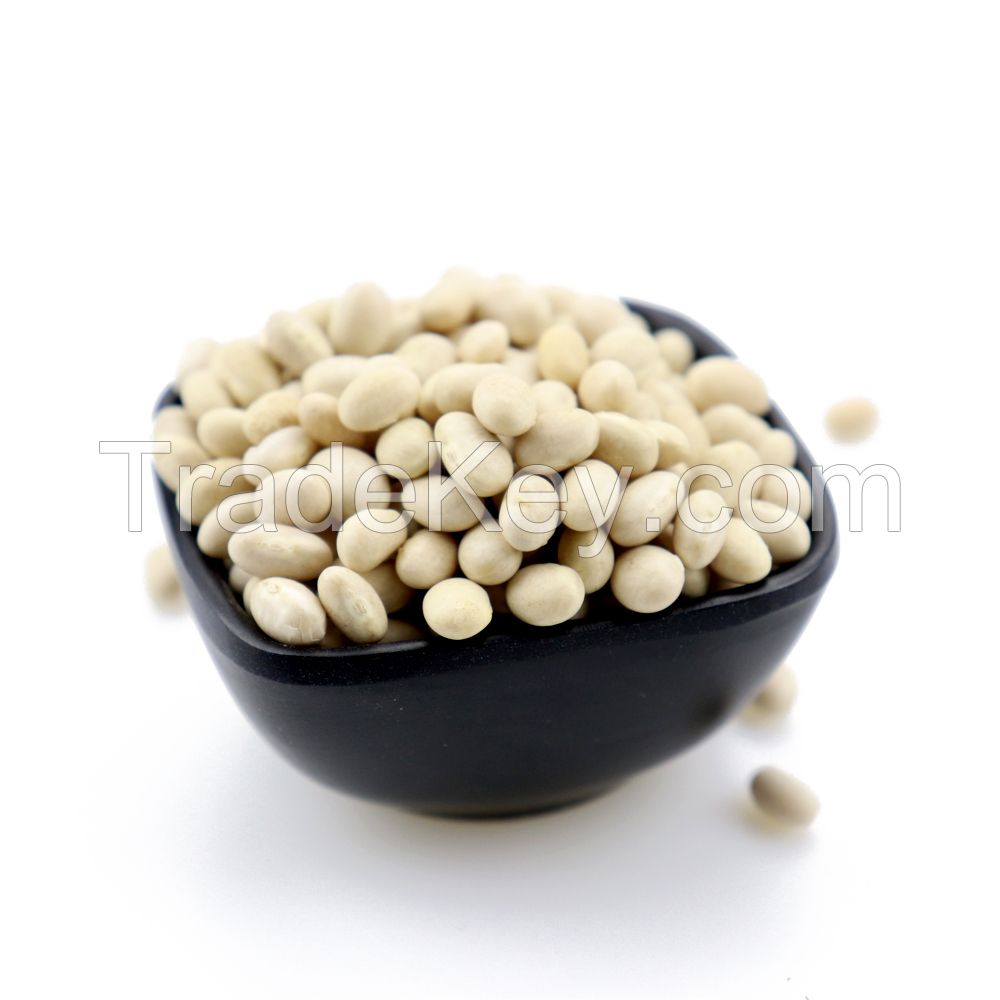 Quality White Butter Beans for sale