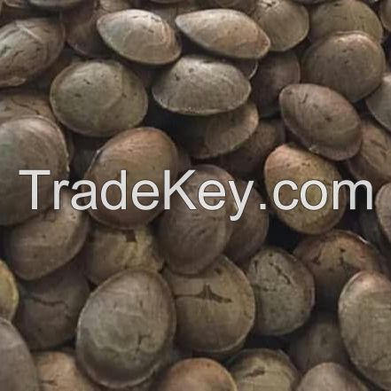 ROASTED SACHA INCHI INCA NUT / SACHA INCHI OIL