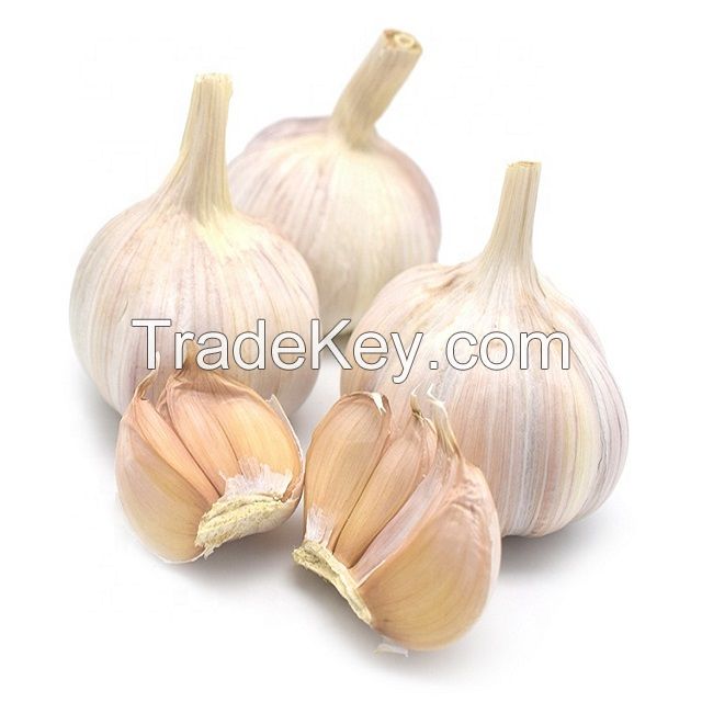 10kg Mesh Bag Fresh Garlic