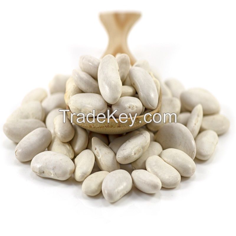 Premium Quality Hot Selling Dried White Butter Beans at Attractive Price