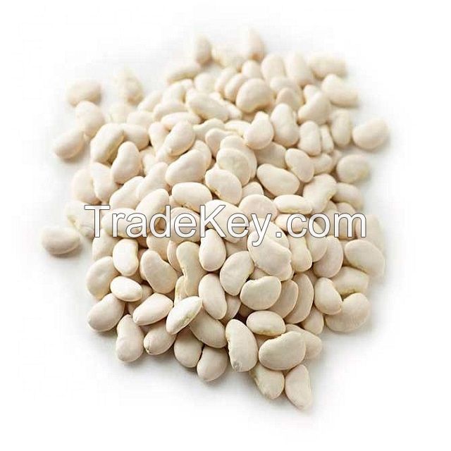 Premium Quality Hot Selling Dried White Butter Beans at Attractive Price