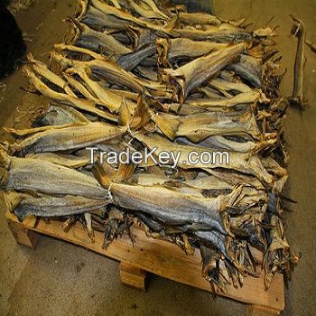 Tusk Dry Stock Fish Cod / dried salted cod fish for sale