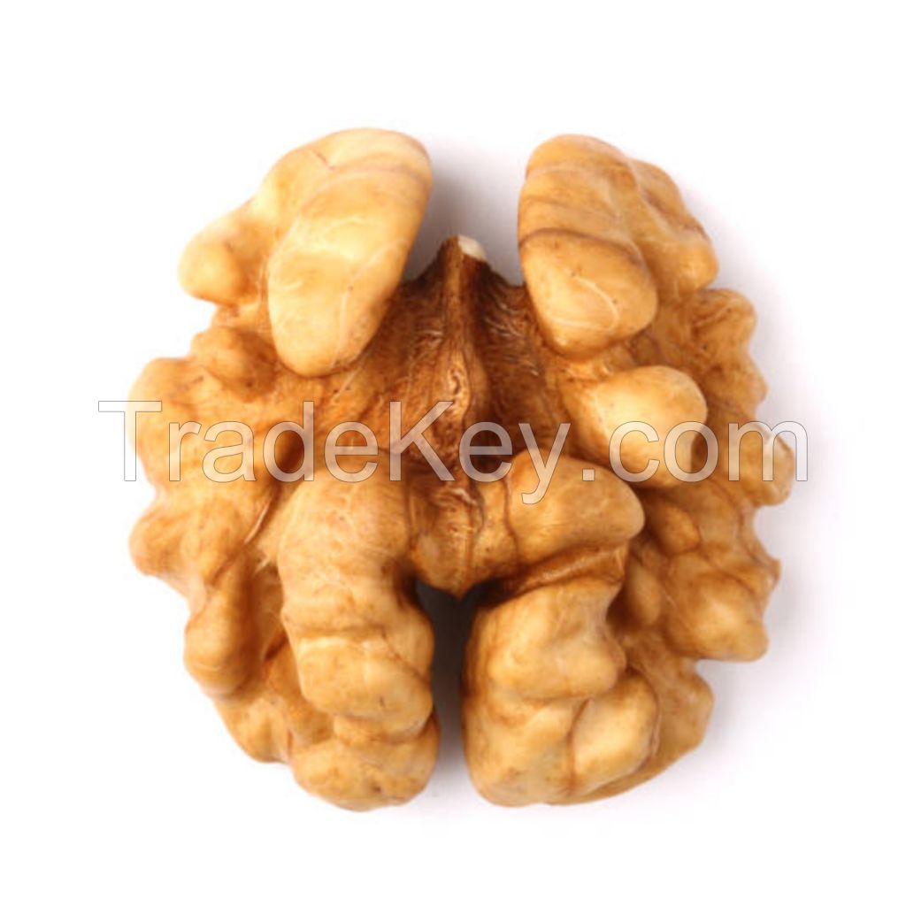 Excellent Quality Thin-Skin Raw Walnut with Shell in Bulk Wholesale