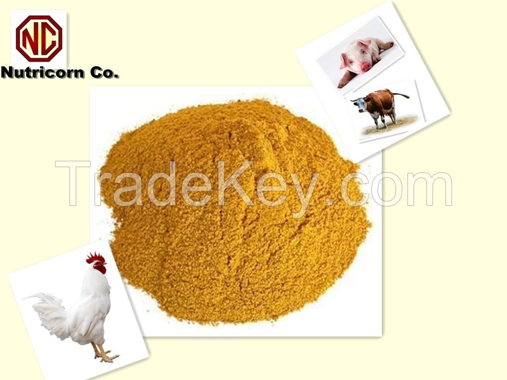 Corn gluten meal 60% protein