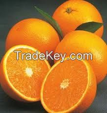 Fresh Oranges