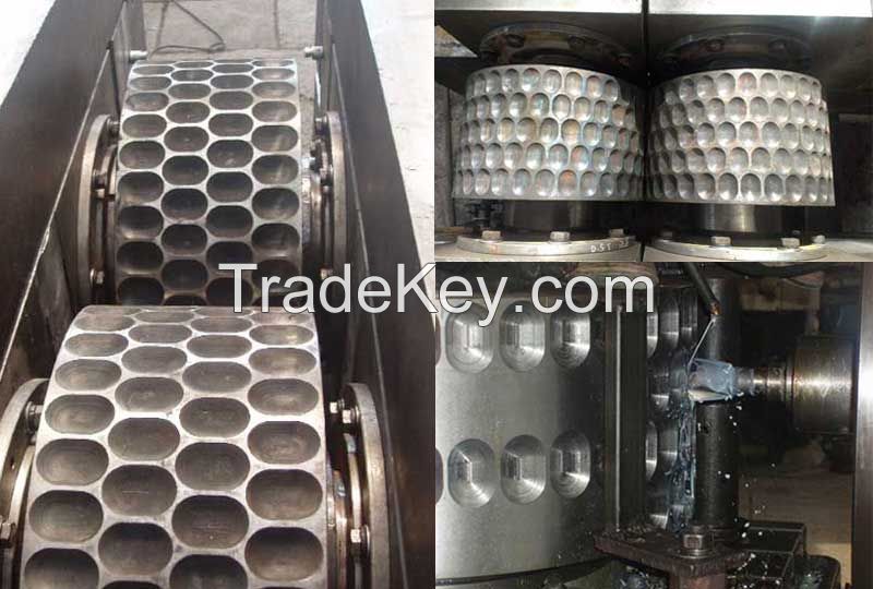 Briquette machine roller skin