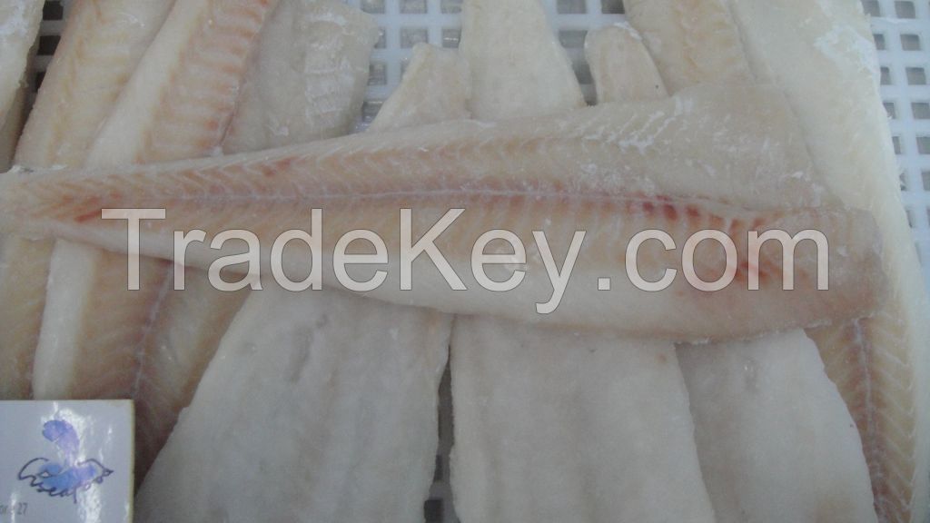 APO frozen alaska pollock fillet Theragra Chalcogramma