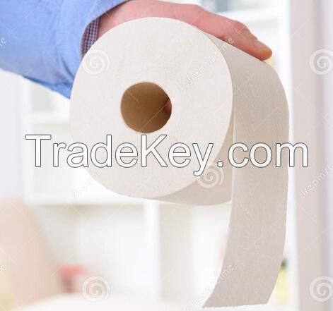 coreless toilet paper without paper core