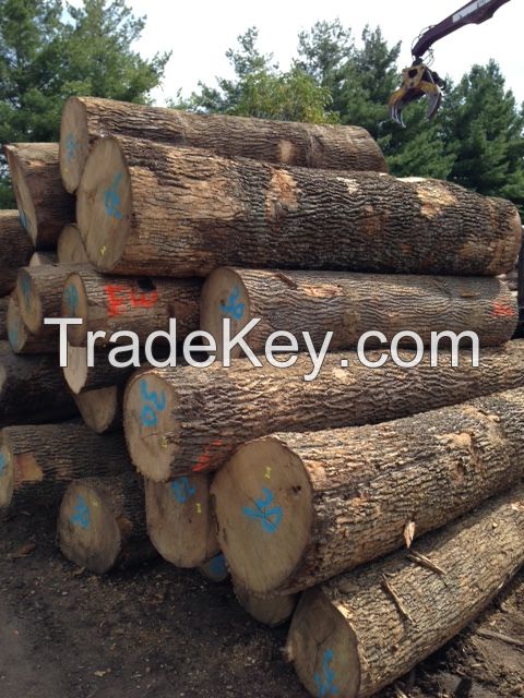 WHITE ASH LOGS 