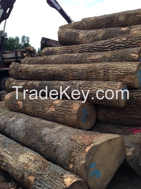 WHITE ASH LOGS 