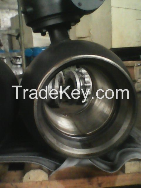 gate valve