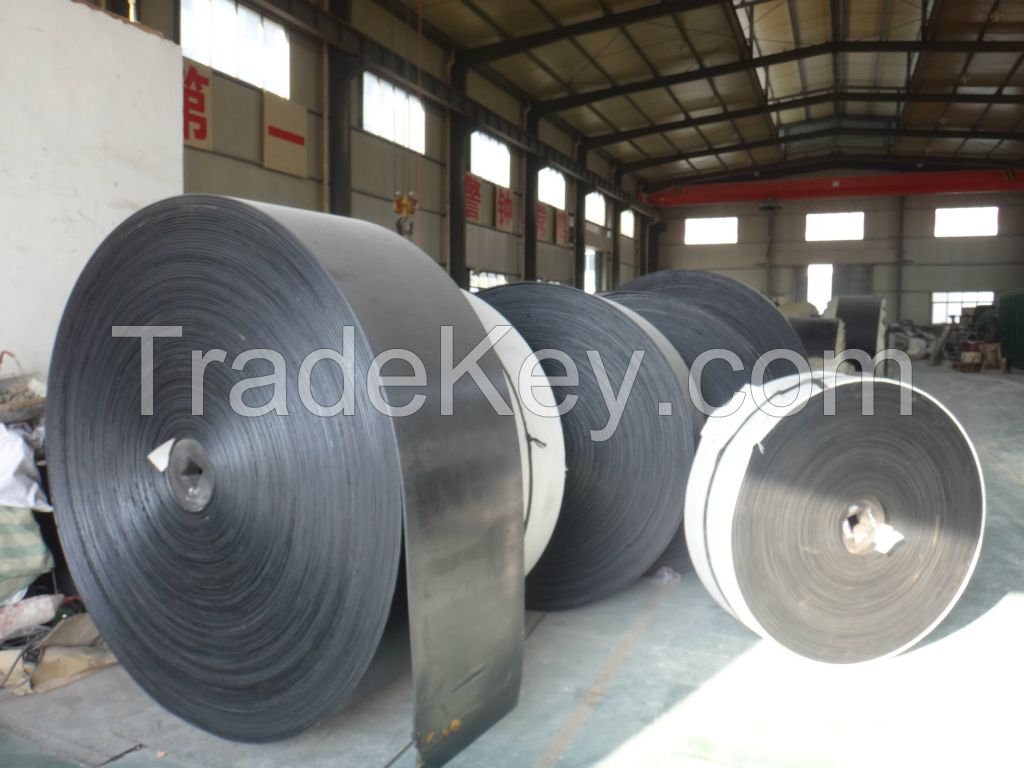 HIgh Quality nylon conveyor belting