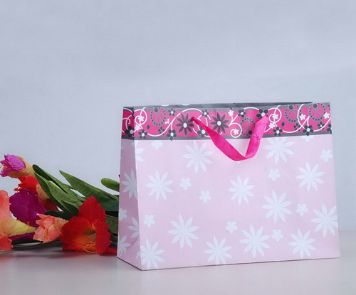 Paper Gift Bag(HD-SG-012)