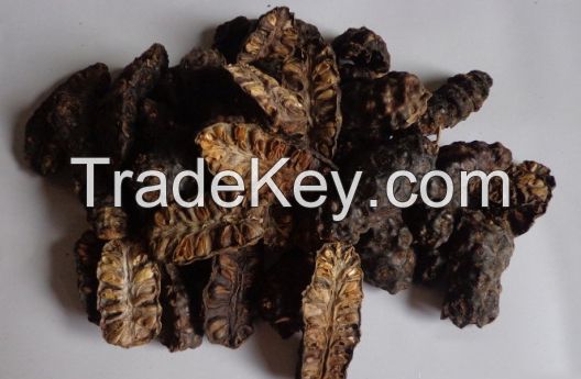 Dried Noni Fruit