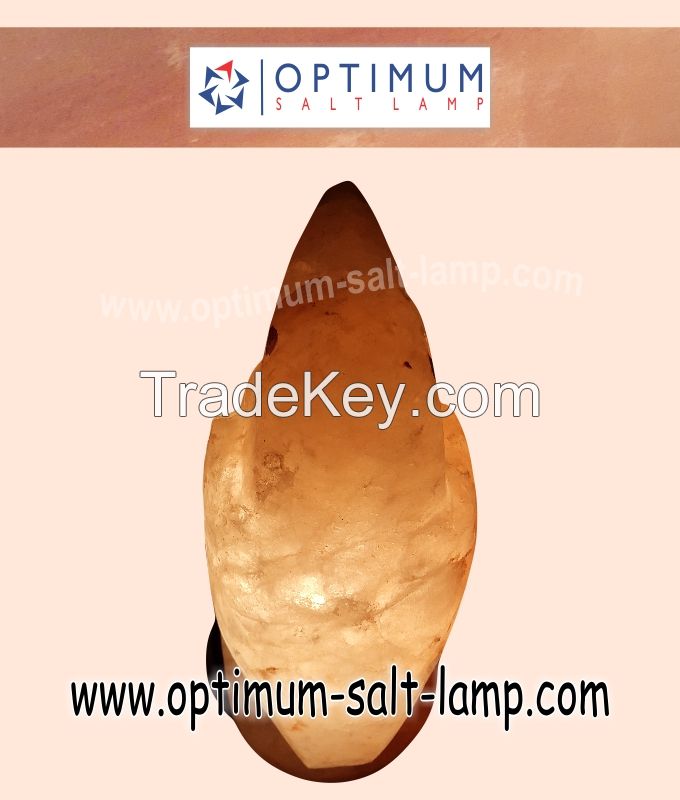 salt lamps Bird Shaped