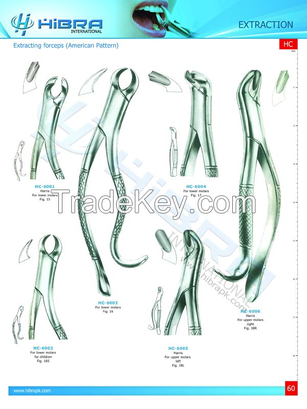 Extracting Forceps American Pattern