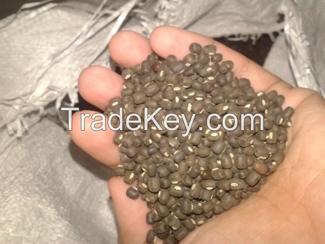 Black Matpe Beans (Thailand)