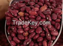 KIdney beans