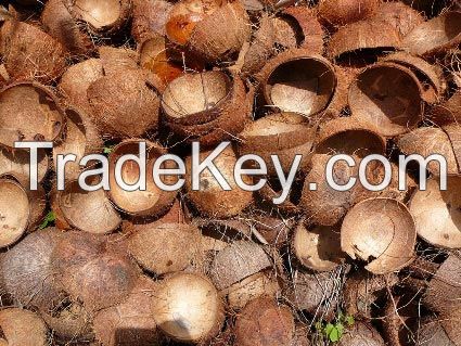 Coconut shell