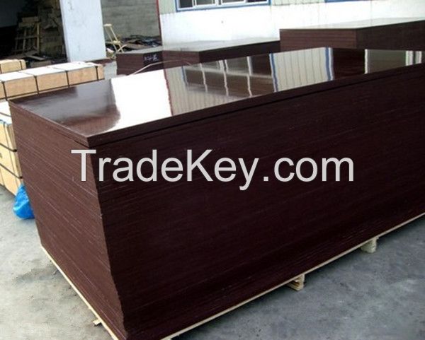 GOLDLUCKPLEX PLYWOOD