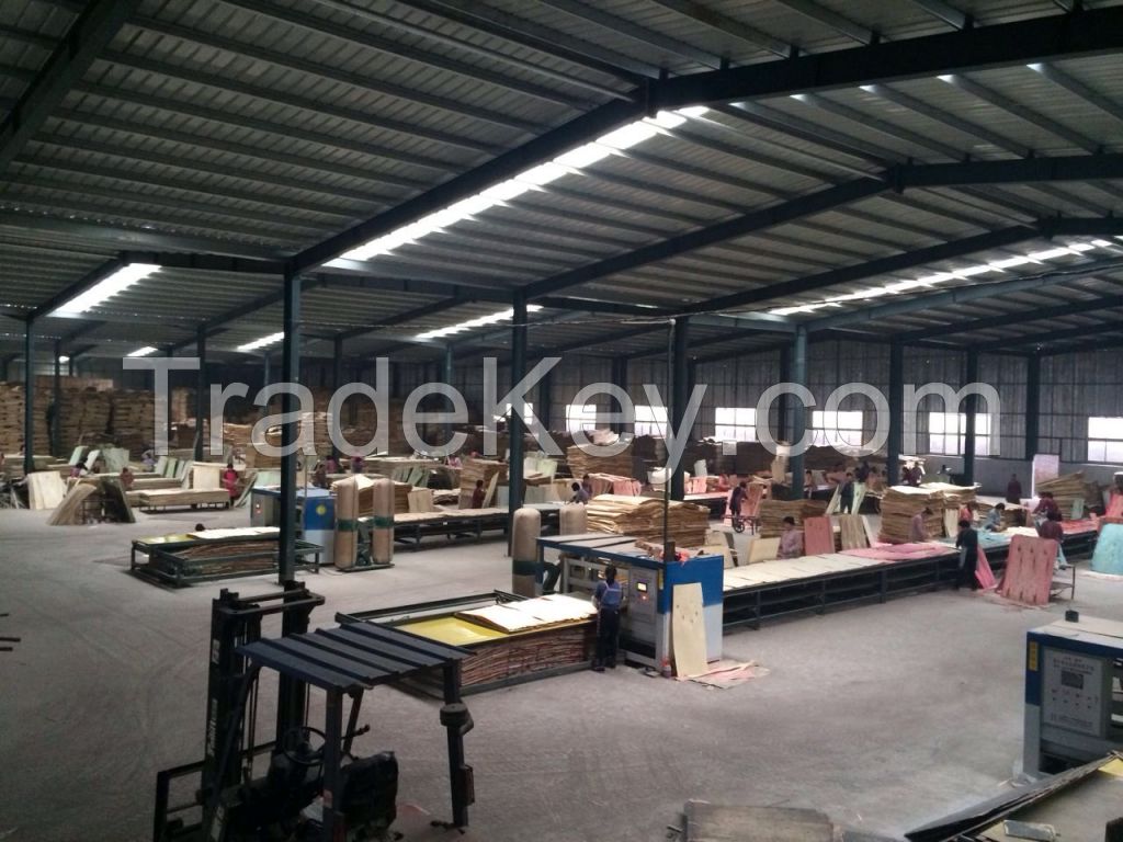 Shuttering building construction plywood